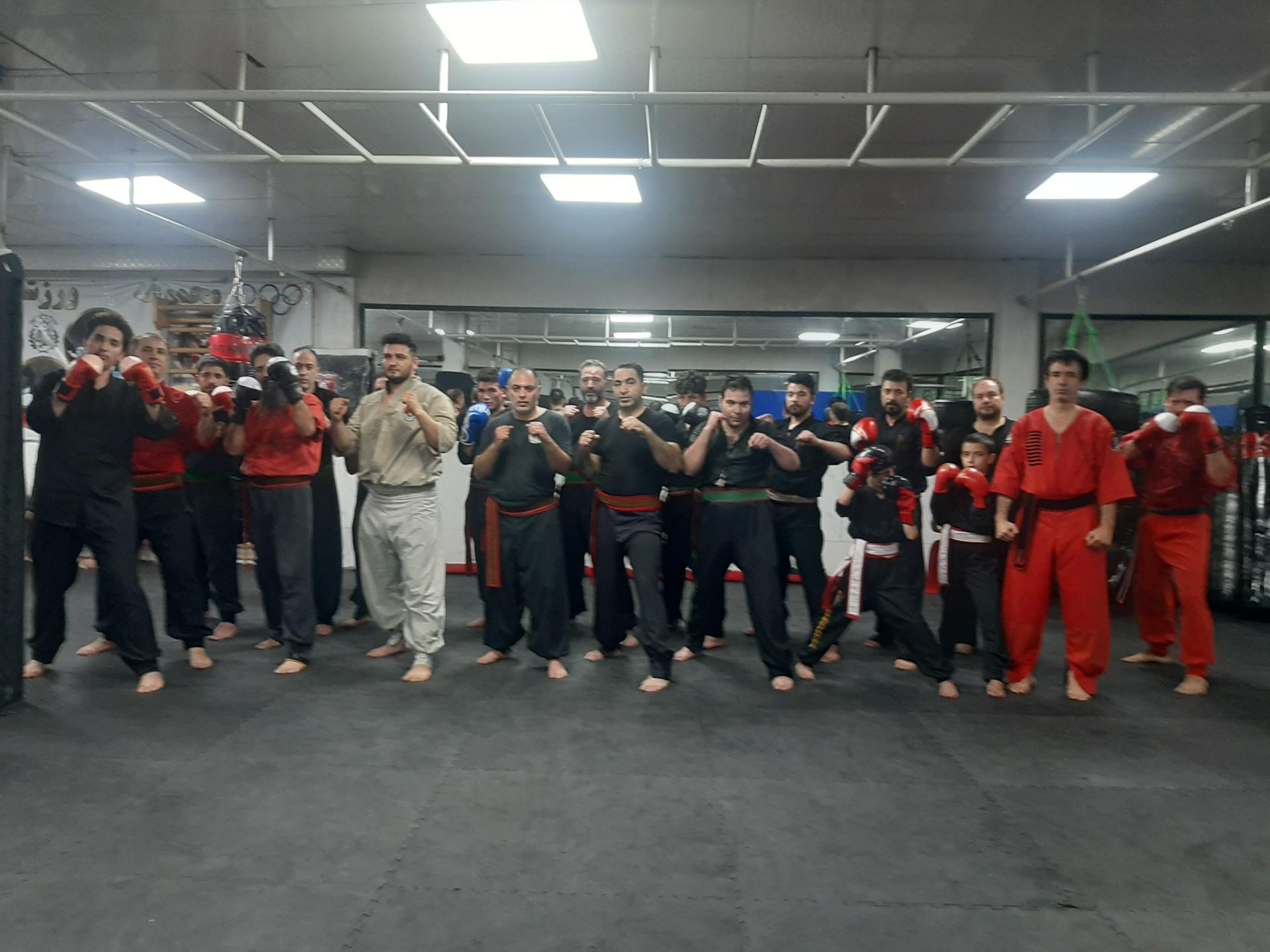 عکس آموزش کونگ فو توآ استاد محمد غمیلویی 