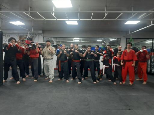 عکس آموزش کونگ فو توآ استاد محمد غمیلویی 