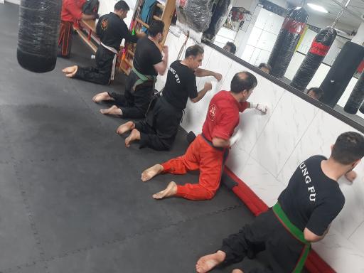 عکس آموزش کونگ فو توآ استاد محمد غمیلویی 