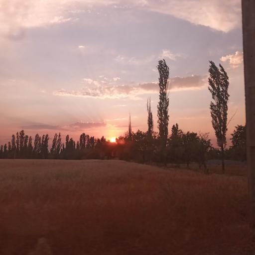 عکس لحاق