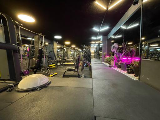 عکس باشگاه ورزشی باربد