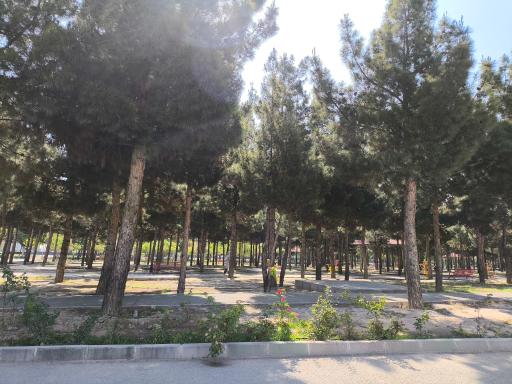 عکس بوستان دانشجو