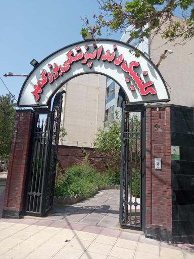 عکس دندانپزشکی بزرگمهر