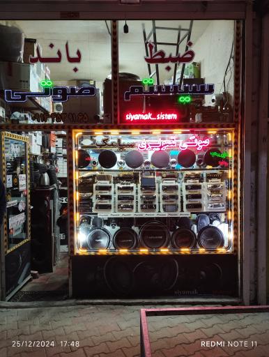 عکس ضبط و باند سیامک عاصمی