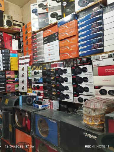 عکس ضبط و باند سیامک عاصمی