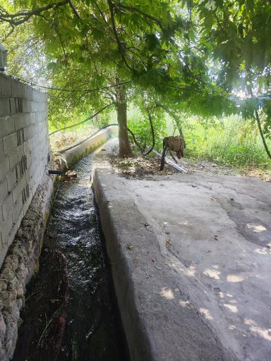 عکس اقامتگاه بومگردی ده حوض