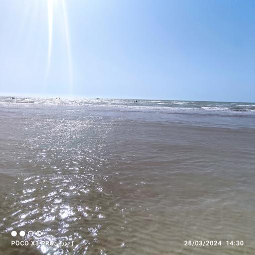 عکس اسکله گناوه