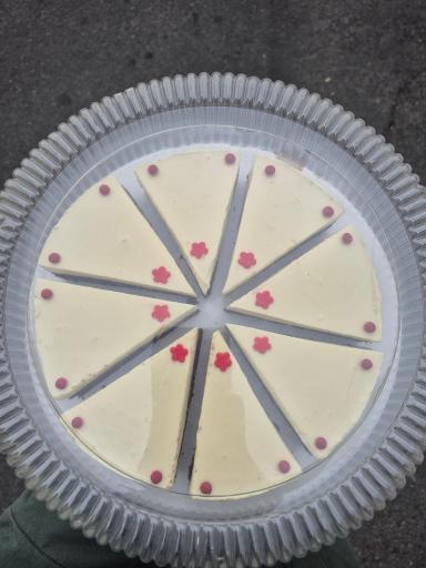 عکس کافه راین