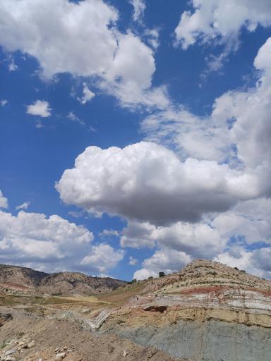 عکس زرنه