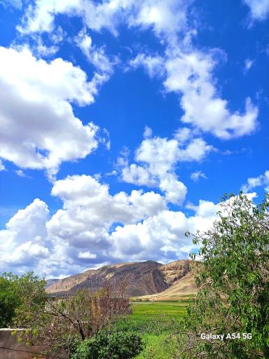 عکس زرنه