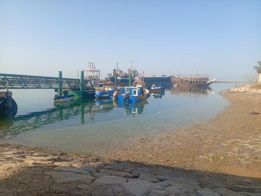 عکس اسکله گناوه
