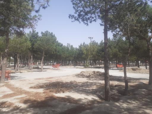 عکس بوستان دانشجو