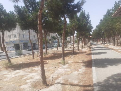 عکس بوستان دانشجو