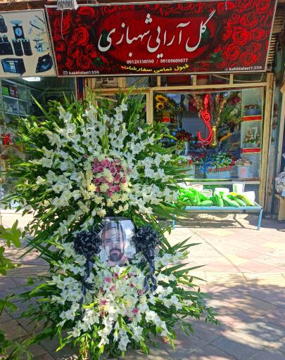 عکس گل فروشی و فیلمبرداری کاخ طلایی