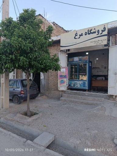 عکس مرغ فروشی سفیر