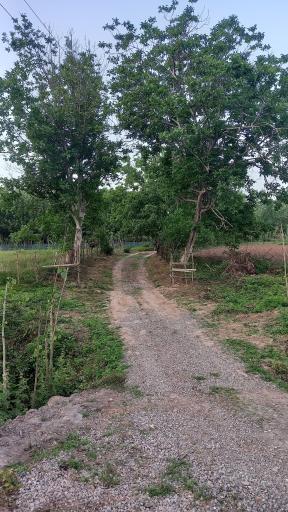 کشل آزادسرا