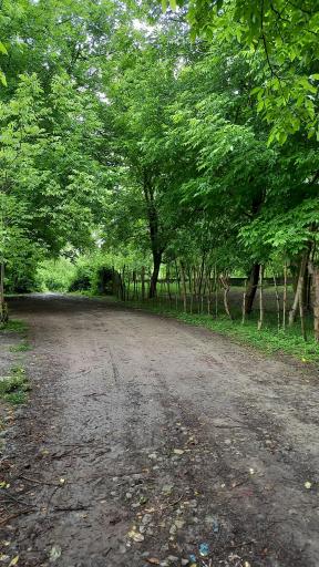عکس کشل آزادسرا