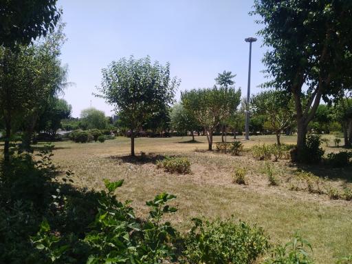عکس بوستان سازمان آب