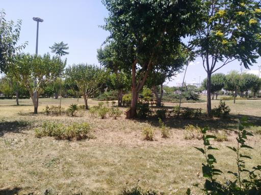 عکس بوستان سازمان آب