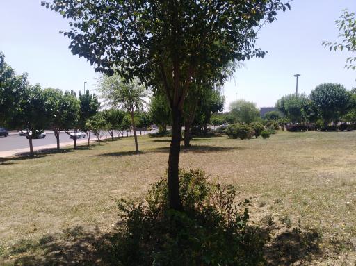 عکس بوستان سازمان آب