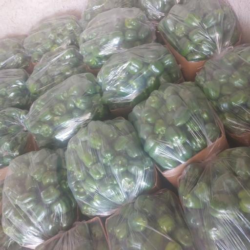 بنگاه تره بار حاج احمد رهنما