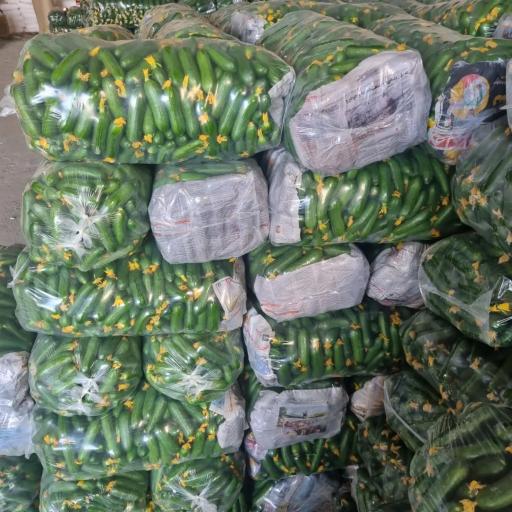 عکس بنگاه تره بار حاج احمد رهنما