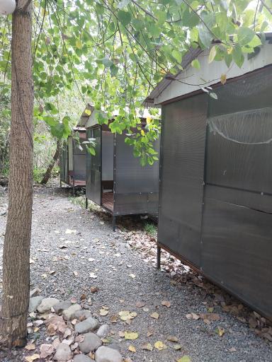 عکس کافه روشا