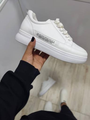 عکس گالری توت فرنگی