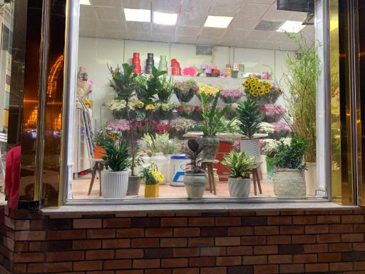 عکس گاردن رز