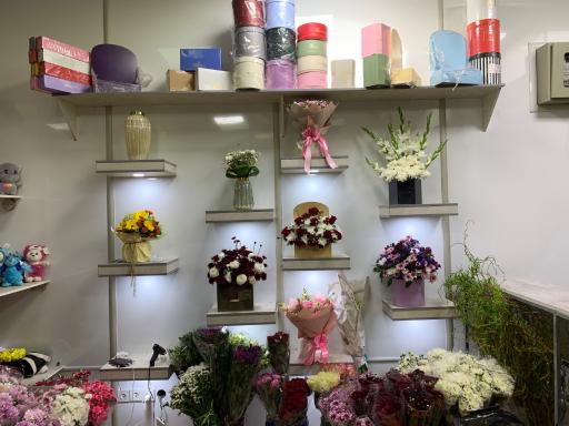 عکس گاردن رز