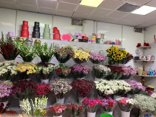 عکس گاردن رز