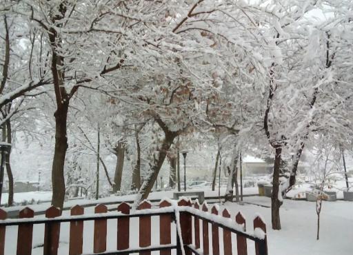 دانشگاه صنعتی همدان