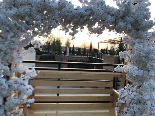 عکس مرکز خرید بام لند