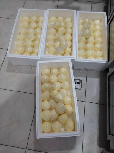 عکس لبنیات سنتی ارمغان