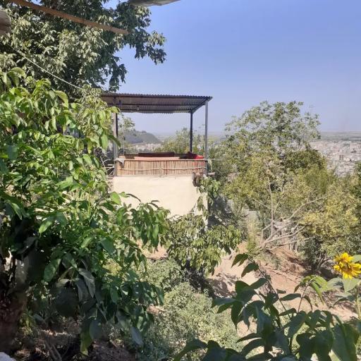 عکس کافه جنگلی رادمهر