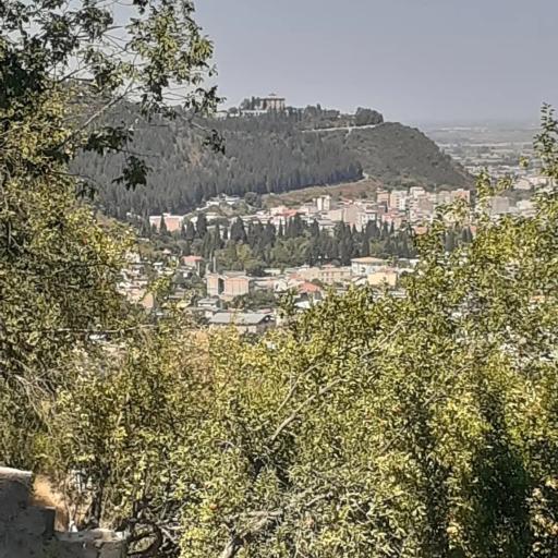 عکس کافه جنگلی رادمهر