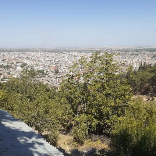 عکس کافه جنگلی رادمهر