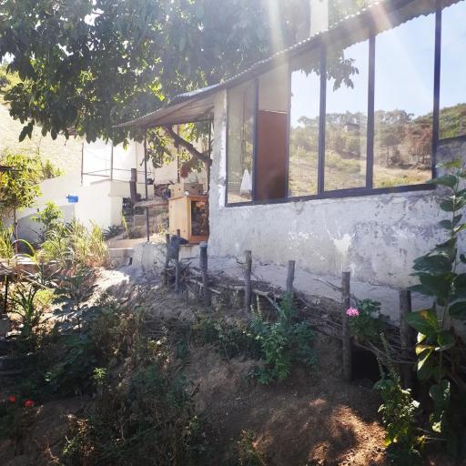کافه جنگلی رادمهر