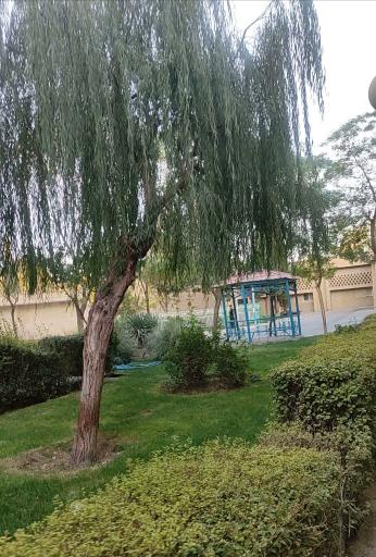 عکس بیمارستان امام رضا