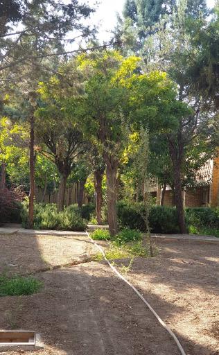 عکس بیمارستان امام رضا