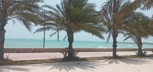 عکس پارک ارمغان مالیات