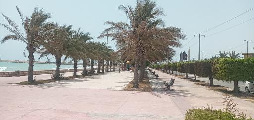 عکس پارک ارمغان مالیات