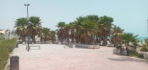 عکس پارک ارمغان مالیات