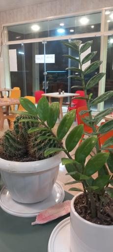 عکس آبمیوه بستنی دایی حسین