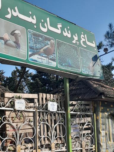 عکس باغ پرندگان آستارا