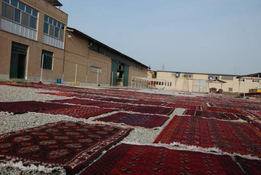 عکس قالیشویی گلستانی 