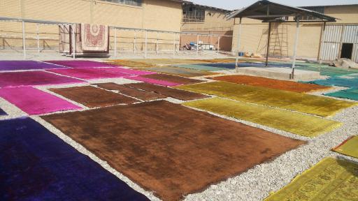 عکس قالیشویی گلستانی 