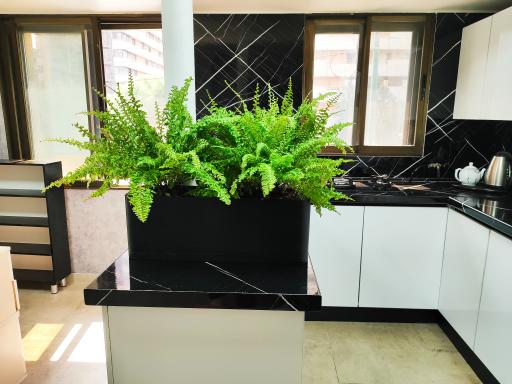 کلینیک خدمات روانشناسی و مشاوره دکتر نینا صادقی