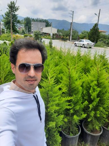 عکس گل وگیاه مبینی