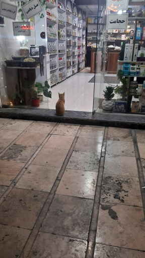 عکس عطاری ابن سینا